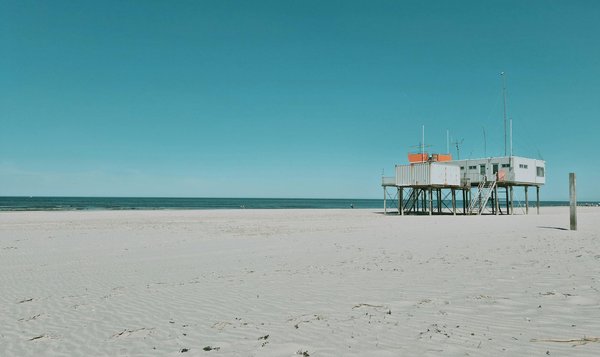 Discover Your Perfect UK Cruise: A Journey Through Iconic British Libraries