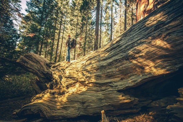 What are the best UK cities for exploring the history of the British suffragette movement through guided tours?